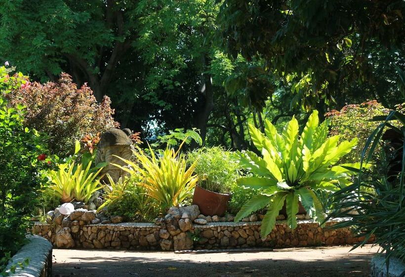 Kurort  Noanoa Island