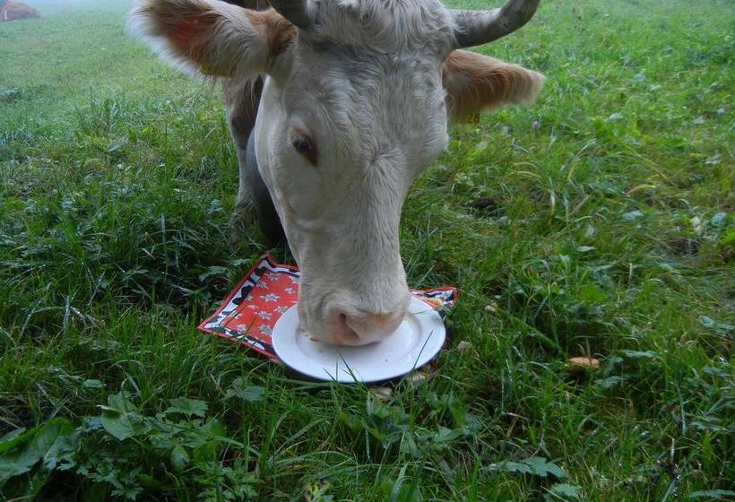 Restaurant Hotel Schermtanne