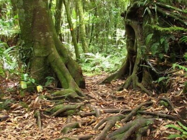 Rolling Hills Country Stay B&b