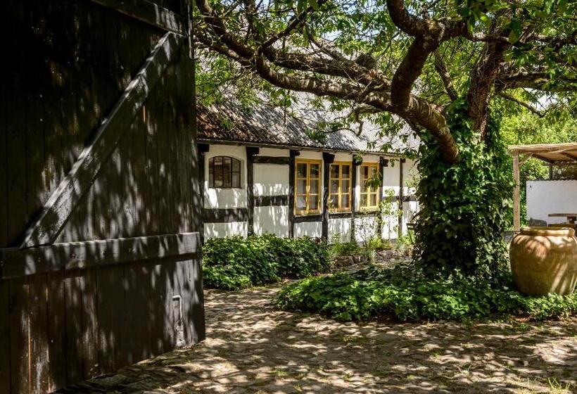 Rubensholm Bed & Breakfast