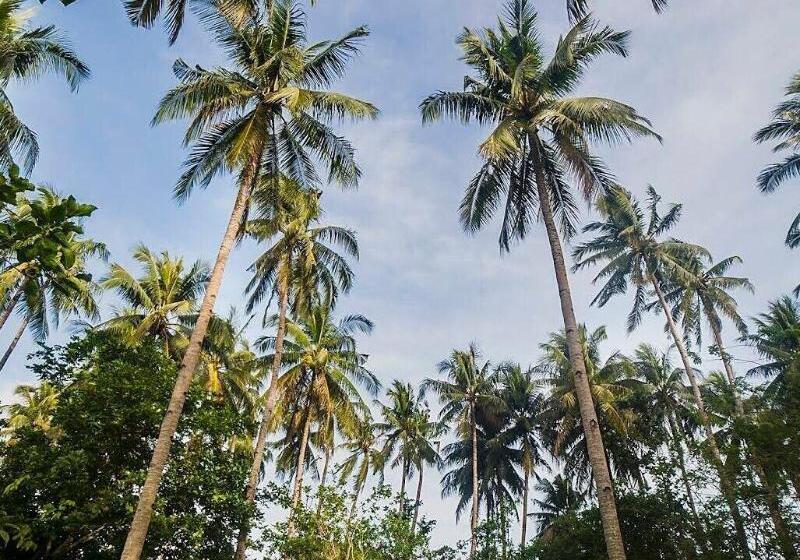 Some Where Else Boutique Resort