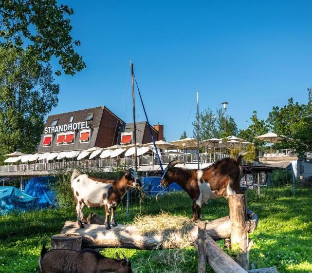 Strandhotel Schmerikon