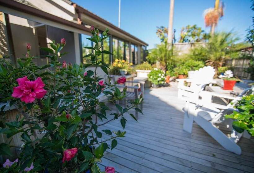 Terry And Cindy's Bed And Breakfast