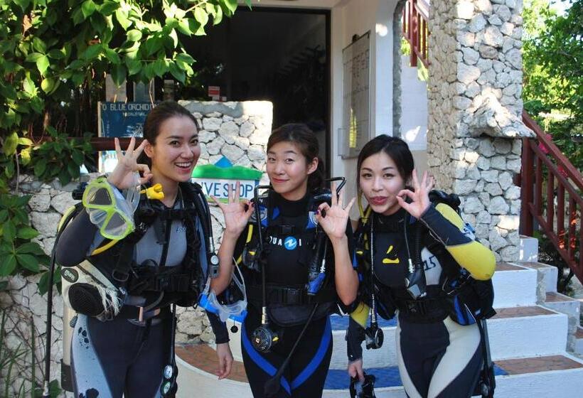 The Blue Orchid Resort