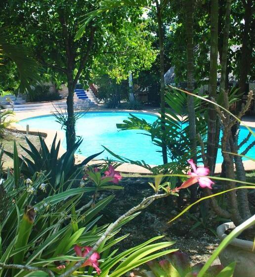 The Blue Orchid Resort