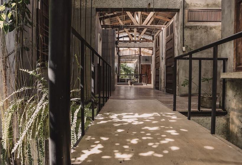 The Flying Fish Hostel