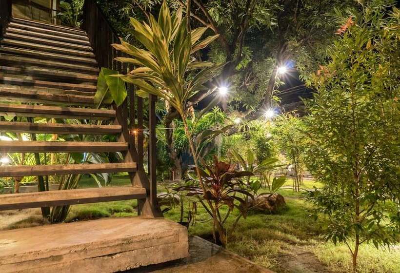 The Flying Fish Hostel