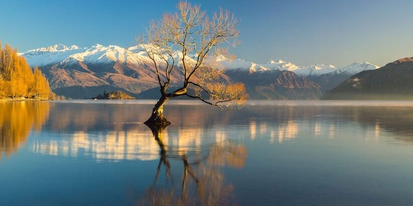 The Moorings Motel And Apartments