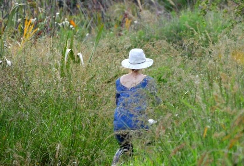 Top Floor Bed And Breakfast