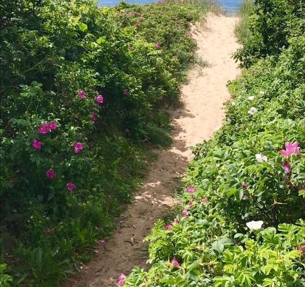 Vejbystrands Vandrarhem