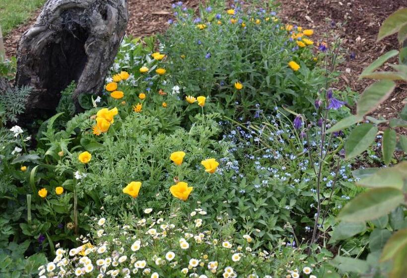 צימר Villa Walton