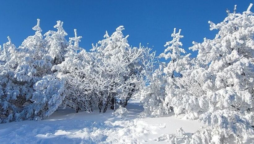 בית מלון כפרי Eq Stay