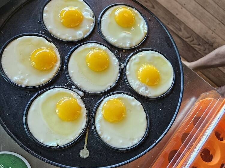 בית מלון כפרי Eq Stay