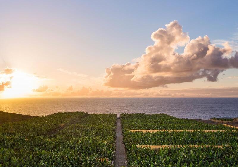 호텔 Hacienda La Dehesa