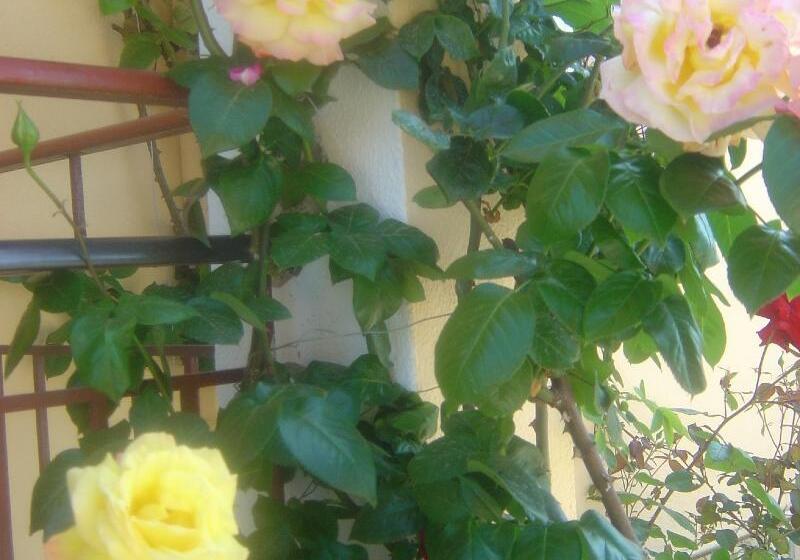 فندق Roda Pearl Resort