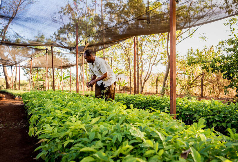هتل روستایی Bashay Rift Lodge