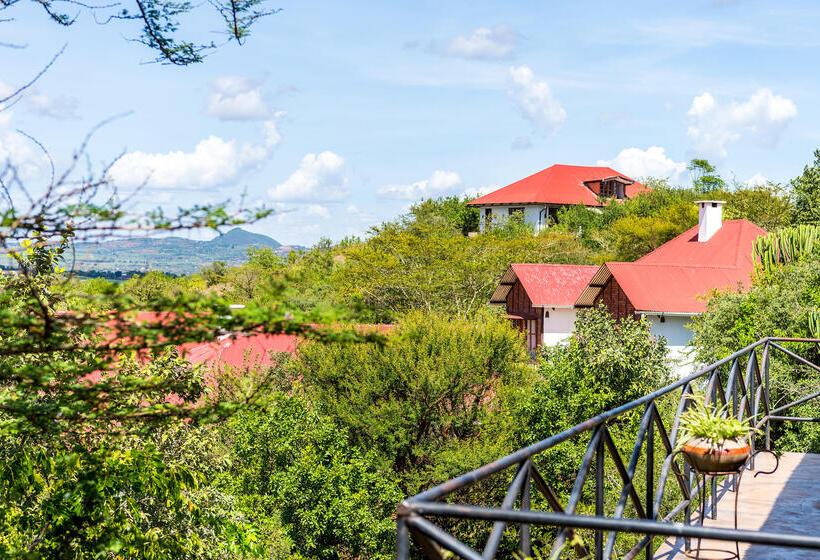 هتل روستایی Bashay Rift Lodge