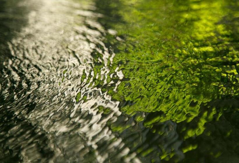 فندق Shaga No Sato Yumeya