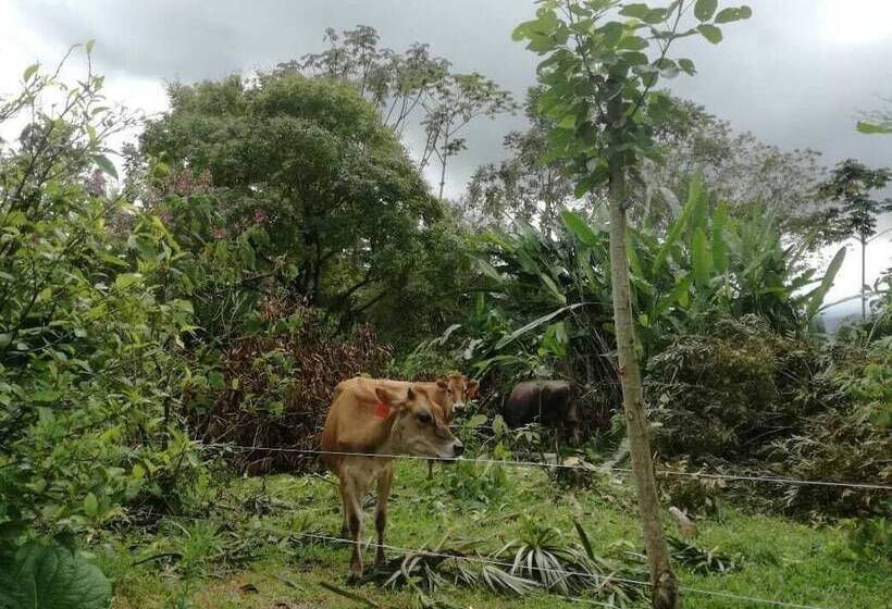 בית מלון כפרי Tangara Arenal