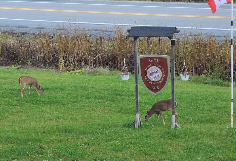 住宿加早餐 The Hidden Treasure Le Trésor Caché