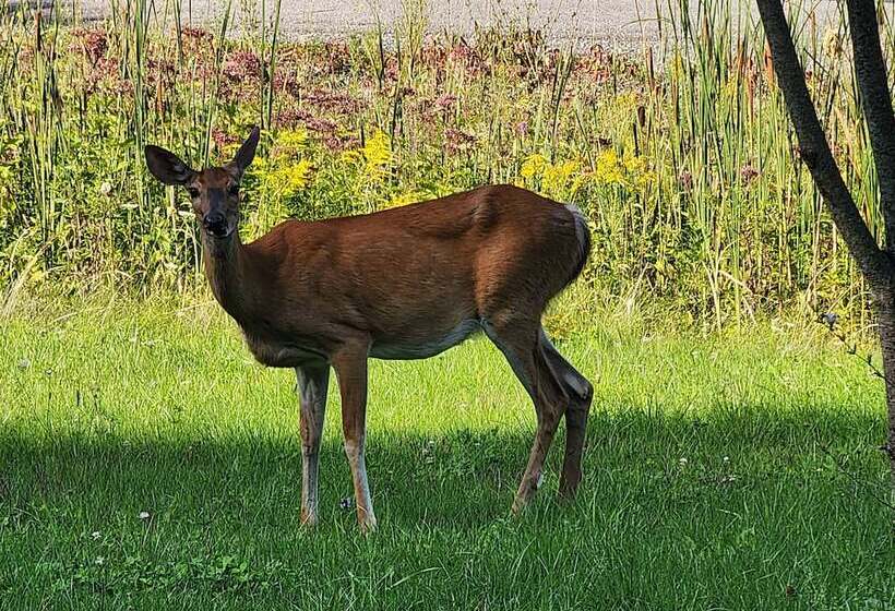 住宿加早餐 The Hidden Treasure Le Trésor Caché
