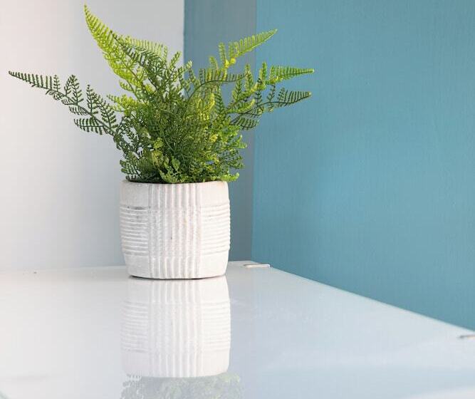 تختخواب و صبحانه Park View Rooms And Relaxation