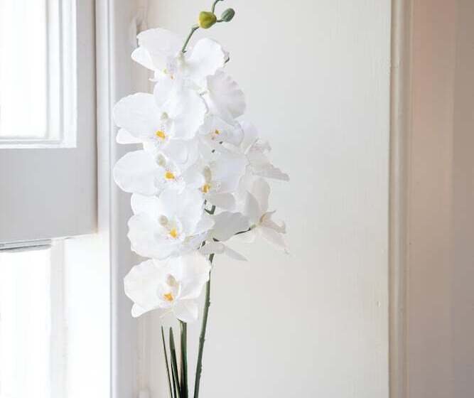 تختخواب و صبحانه Park View Rooms And Relaxation