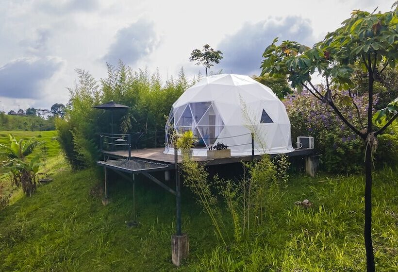 Eco Hotel Monte Tierra