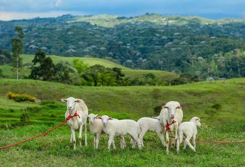 Eco Hotel Monte Tierra