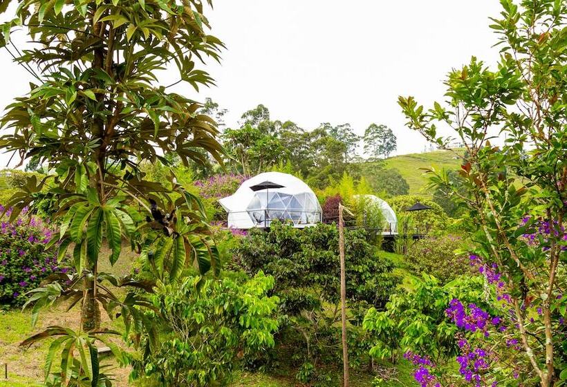 Eco Hotel Monte Tierra