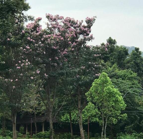 Отель Aswadduma