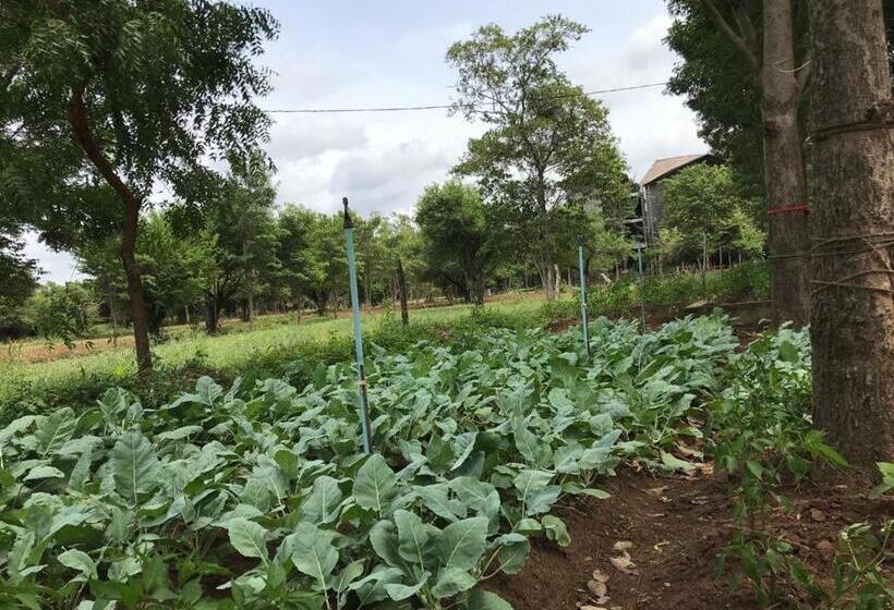 Отель Aswadduma