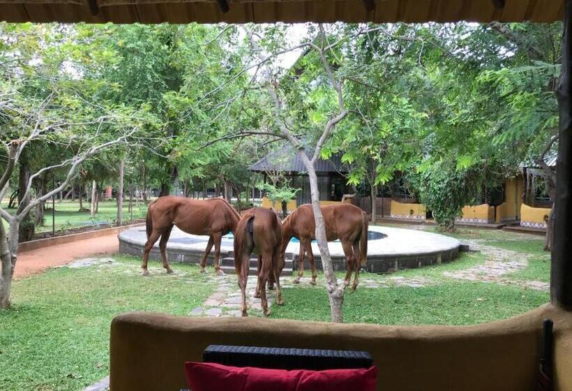 Отель Aswadduma