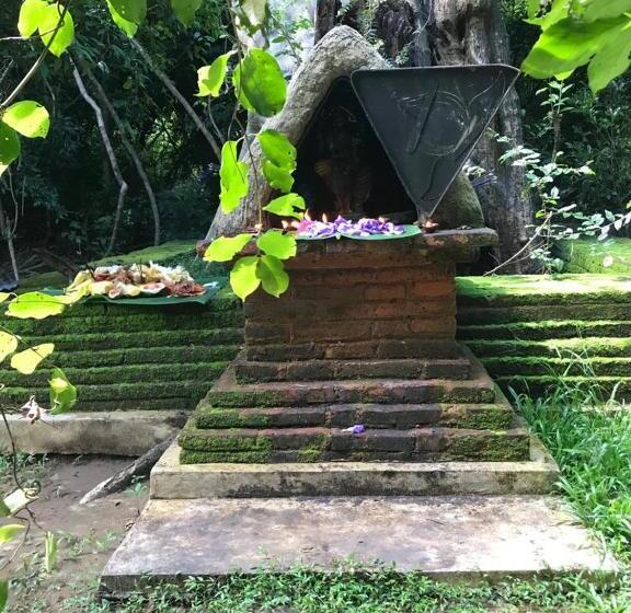 Отель Aswadduma