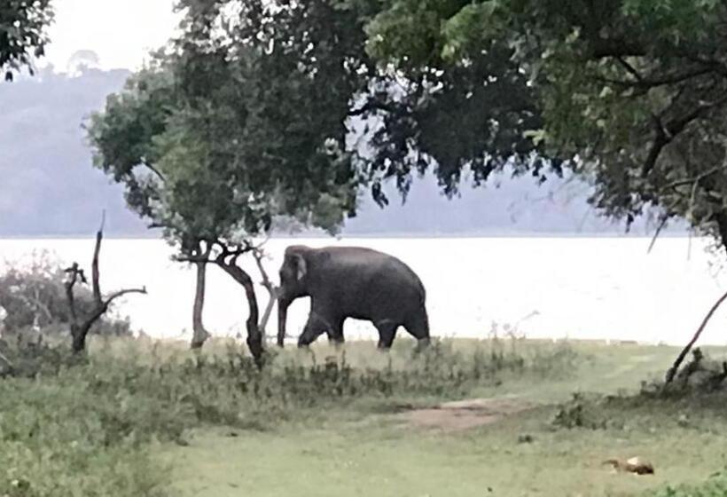 Отель Aswadduma