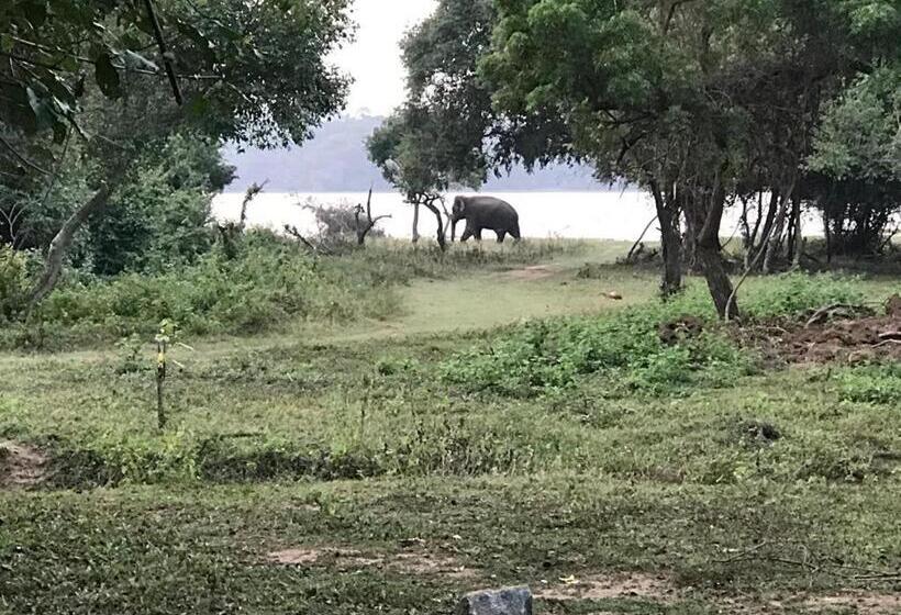 Отель Aswadduma