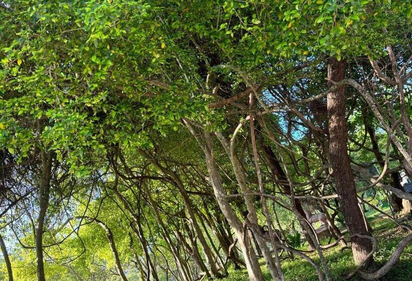 Отель Aswadduma