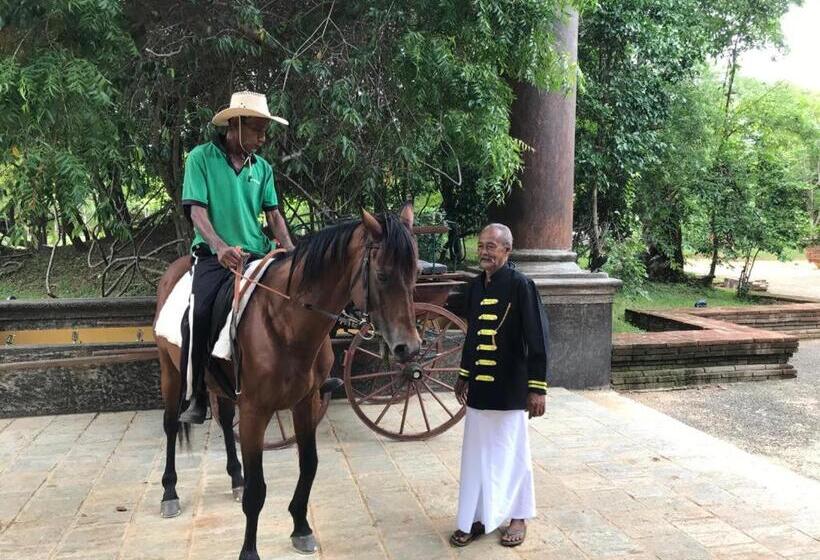 Отель Aswadduma