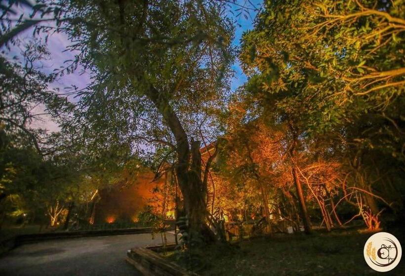 Отель Aswadduma