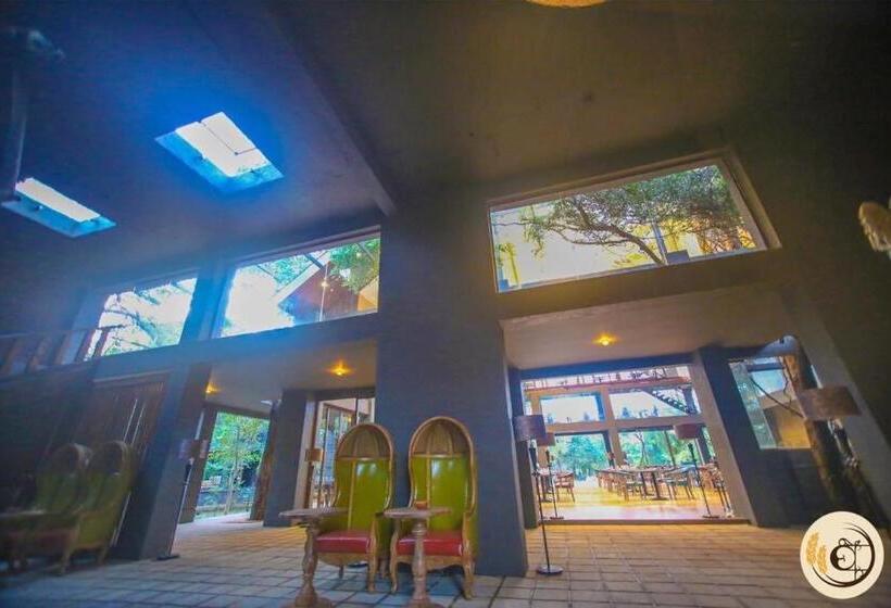 Отель Aswadduma