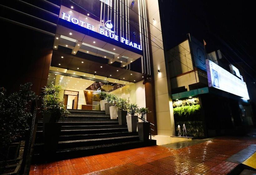 酒店 Blue Pearl Chikmagalur