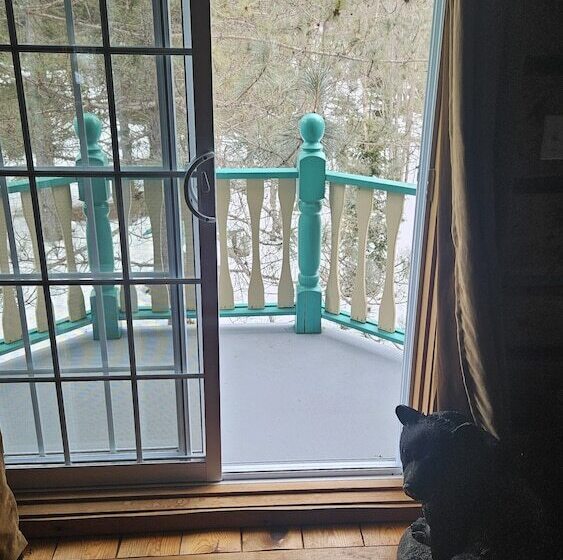 Отель Domaine Riviere Sacacomie