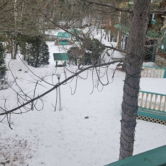 Отель Domaine Riviere Sacacomie