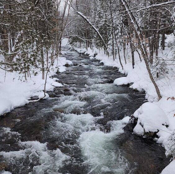 Отель Domaine Riviere Sacacomie