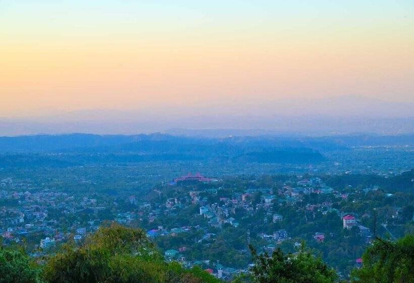 فندق Forest Hill