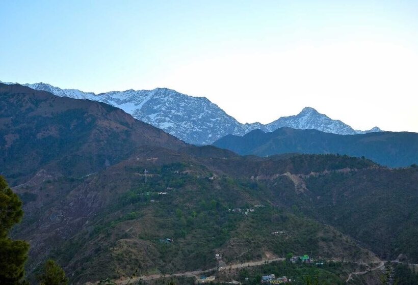 فندق Forest Hill