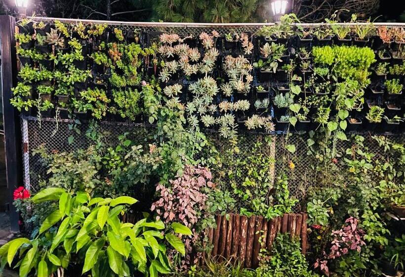 فندق House Of Lights