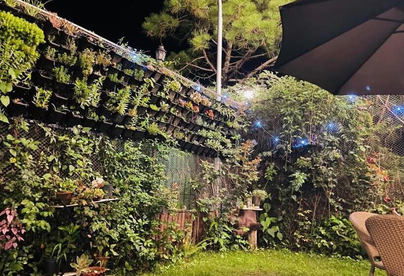 فندق House Of Lights