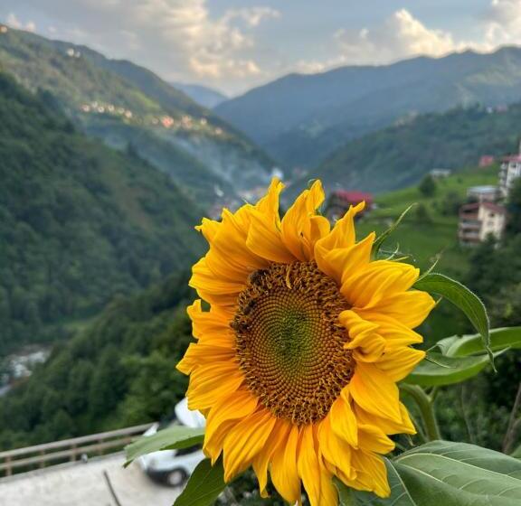 فندق Eva Bungalov