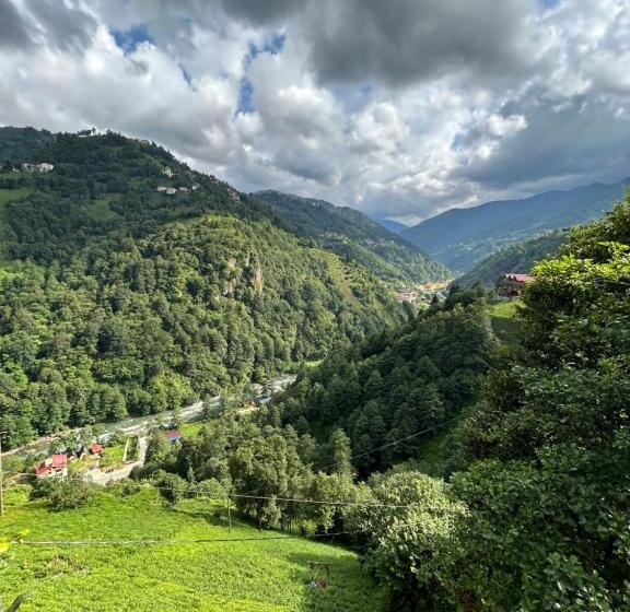 فندق Eva Bungalov